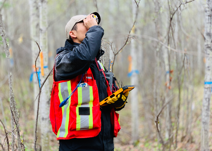 Forestry Research